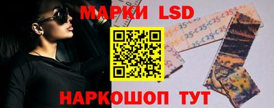 амф Донской