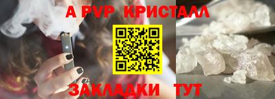 амф Донской