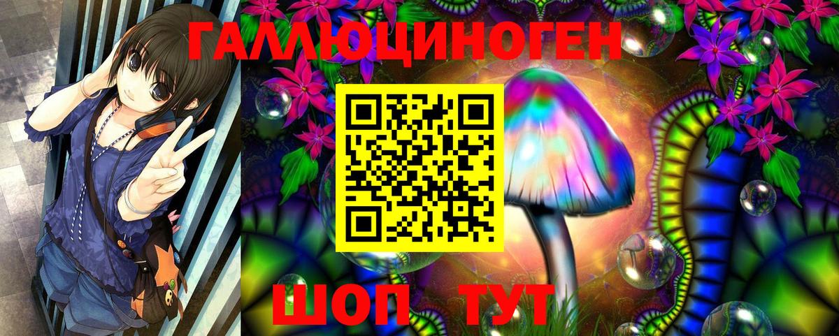 Галлюциногенные грибы Psilocybe Лангепас